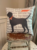 Tennessee TN football dog dorm room man cave decor pillow cover