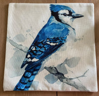 Blue Jay