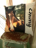 Custom pillow cover home decor for pet grandparent child’s room high school team