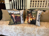 Custom pillow cover home decor for pet grandparent child’s room high school team
