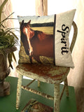 Custom pillow cover home decor for pet grandparent child’s room high school team