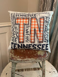Tennessee TN State dorm room man cave decor pillow cover