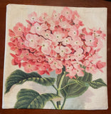 Pink Hydrangea