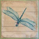 Dragonfly light blue