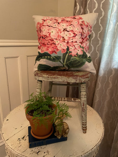 Pink Hydrangea